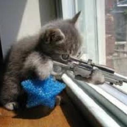 Peek_A_Boah's avatar