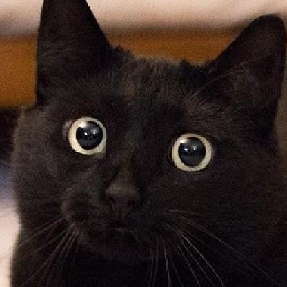 Adreamochrome's avatar