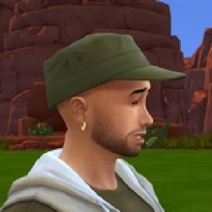 SimDels's avatar