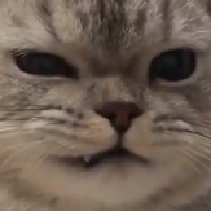 ImBeerg's avatar