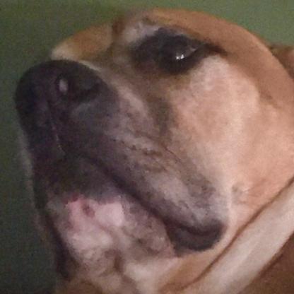 Buckweedington's avatar