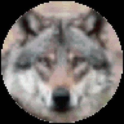 19Greywolf65's avatar