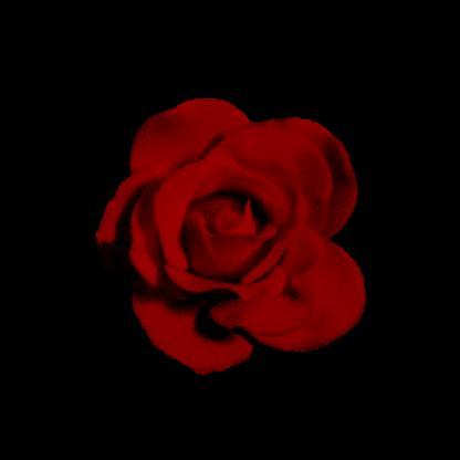 sakuraskeletonk's avatar