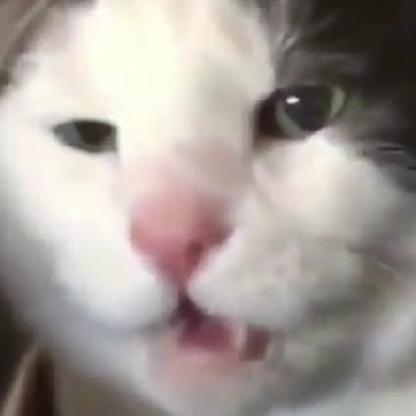 EyYoSpunky's avatar