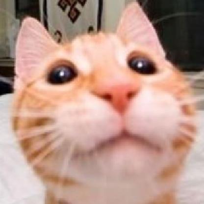 ItsKoa's avatar