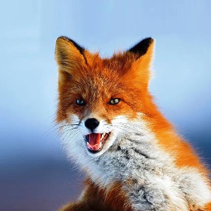 BardofPriwen's avatar