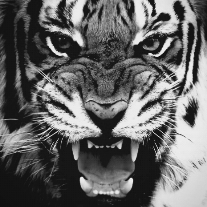 e8c6d8b241546368's avatar