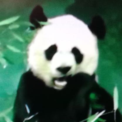 EmmettsGrandma's avatar