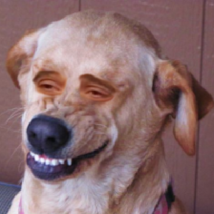 24_DrunkCats's avatar