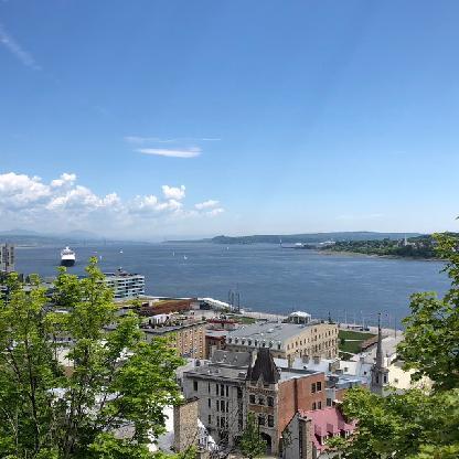 Sophiecats21's avatar