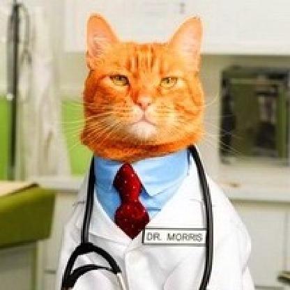 0_Doctor_Cat's avatar