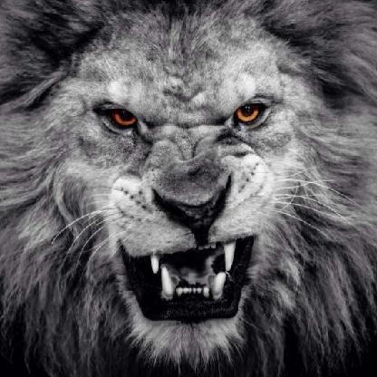 OcKaJl_JlbBa's avatar