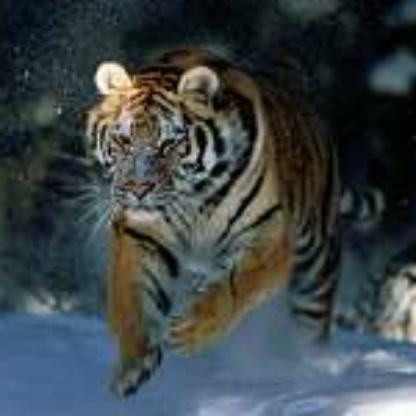 Reborn-frenk1970's avatar