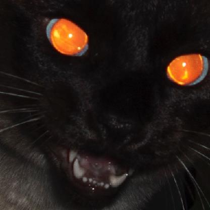 girlcummies's avatar