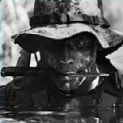 llPARA-SARll's avatar