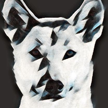 dingo6uip's avatar