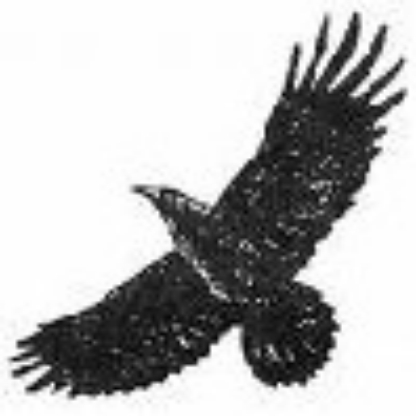 veryblackraven's avatar