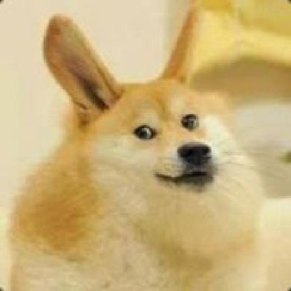 lolyounoob1's avatar