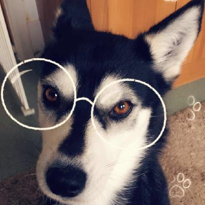 MollySmith04's avatar