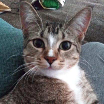 EveLevine74's avatar