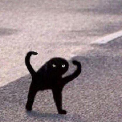 ROSEY257's avatar
