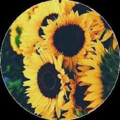 gabyperez5484's avatar