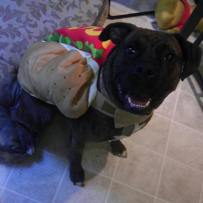 xxGrantskixx's avatar