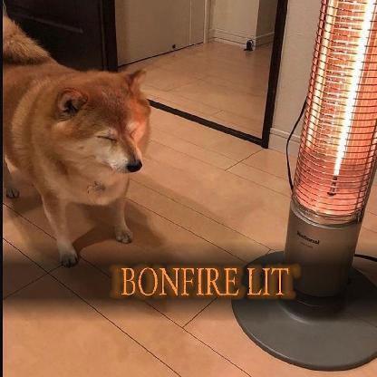 Mettabolized's avatar