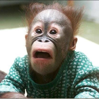 Haeschen-Schule's avatar