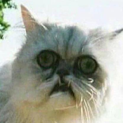 CT-1121-Havenn's avatar