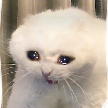 Dumbdriver911's avatar