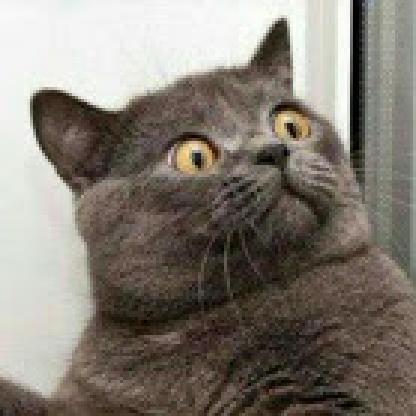 Rydnr's avatar