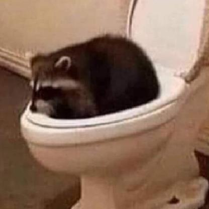 SapphireCupcake's avatar