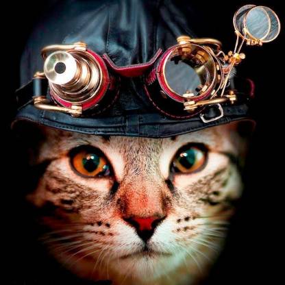 Sherak's avatar
