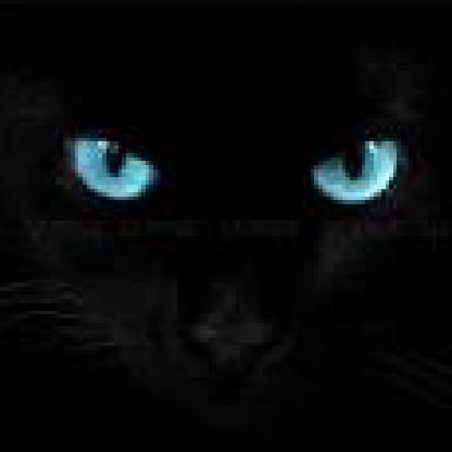 MeekaDenimore's avatar