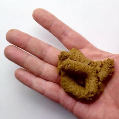 poofingerer's avatar