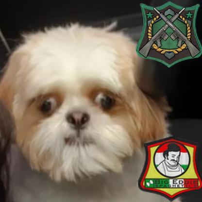 Animal_imundo's avatar