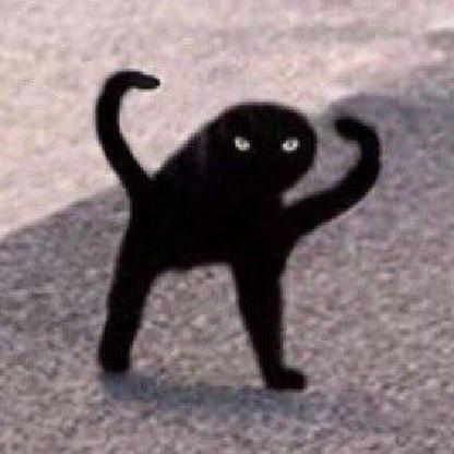 AiCumvaUnLeu1's avatar