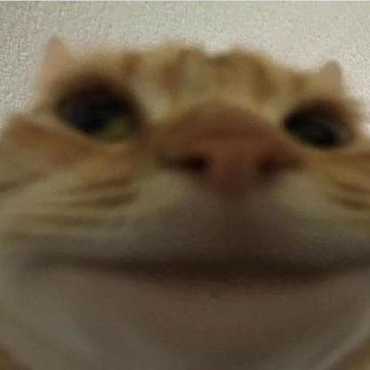 1vinipepega's avatar
