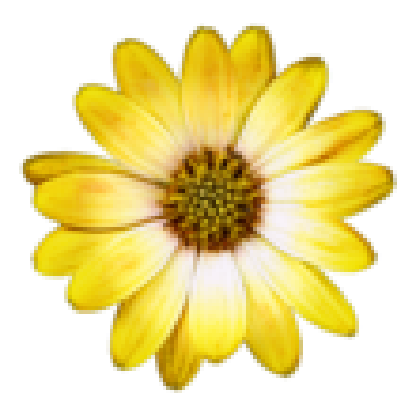 Melisendre's avatar