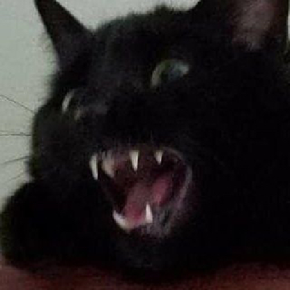 TaeT3r's avatar