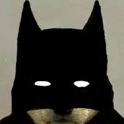 droolingdoge's avatar