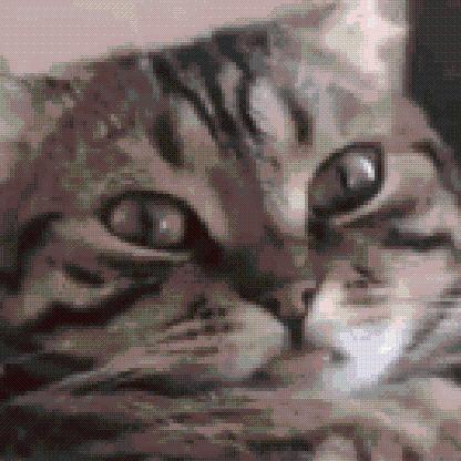 czechdrifty's avatar