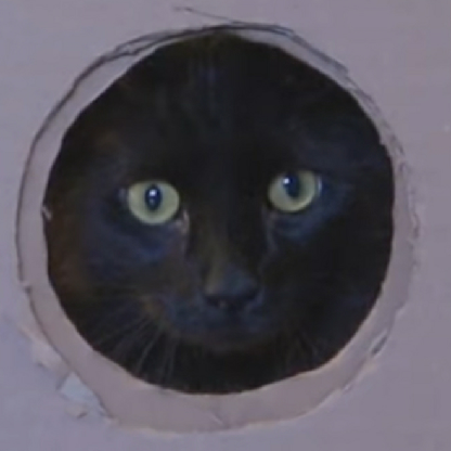 MeowMeowFace0w0's avatar
