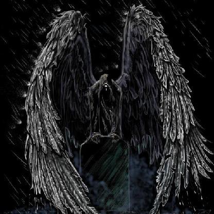 cheek_pics's avatar