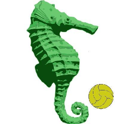 HippocampeVert's avatar