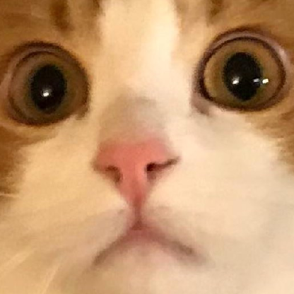 Lunchbox4419's avatar