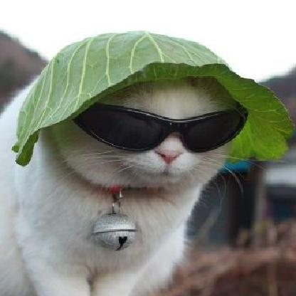 thijm3n_c's avatar