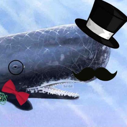 AlphaMaleWhale's avatar