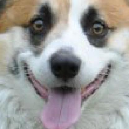 Criengineer's avatar